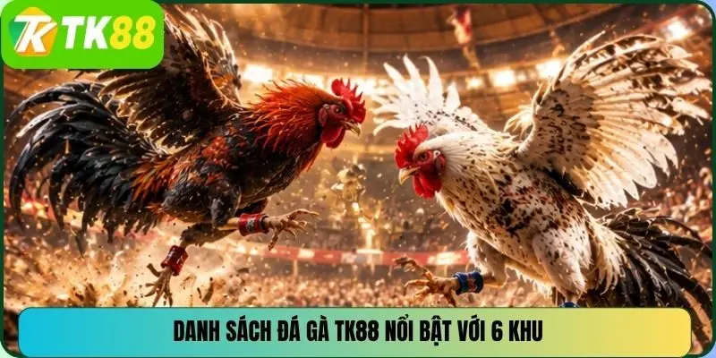 Danh sách đá gà TK88 nổi bật với 6 khu
